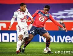 九游体育APP-关于赛地聚焦：法甲冲刺阶段热度飙升，孟菲斯灰熊状态回暖，震撼外界，细节决定成败的信息